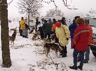 2003 schlittenhunde020.jpg